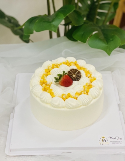 mẫu 00010